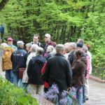 Botanische Führung - Sonntagsführung Mai 2013