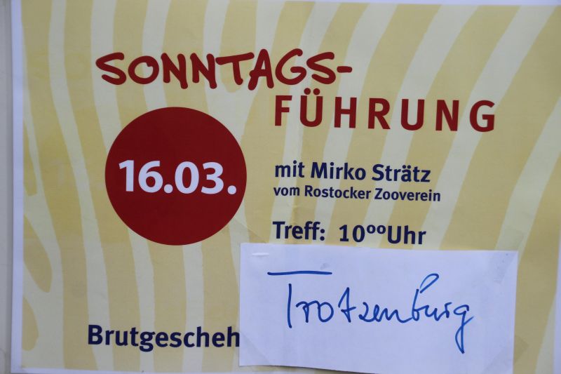 Sonntagsführung März 2014