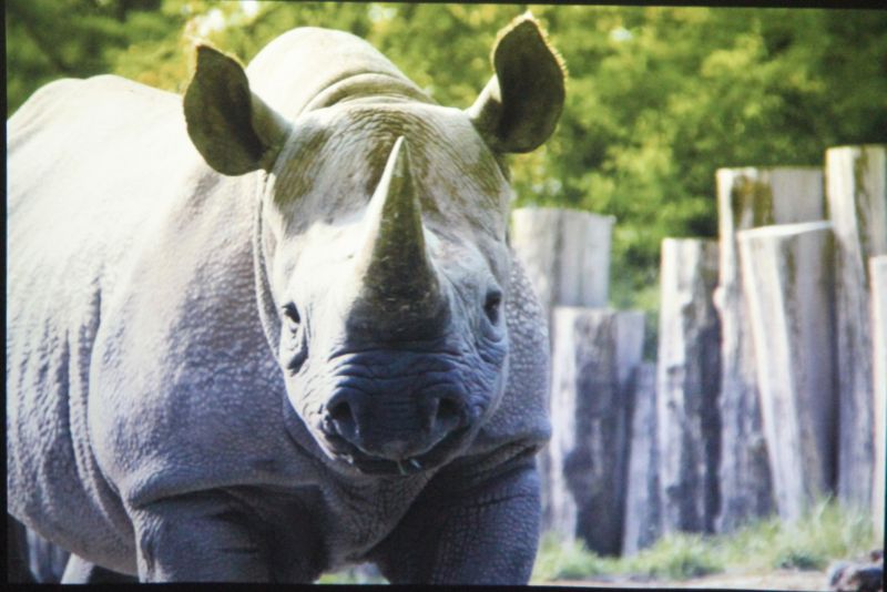 Vortrag - Zoos in der Schweiz