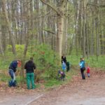 Frühjahrsputz im Barnstorfer Wald