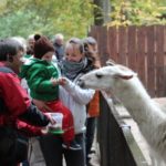 Sonntagsführung Oktober „Ferne Länder – Andere Haustiere“