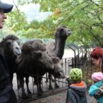 Sonntagsführung Oktober „Ferne Länder – Andere Haustiere“