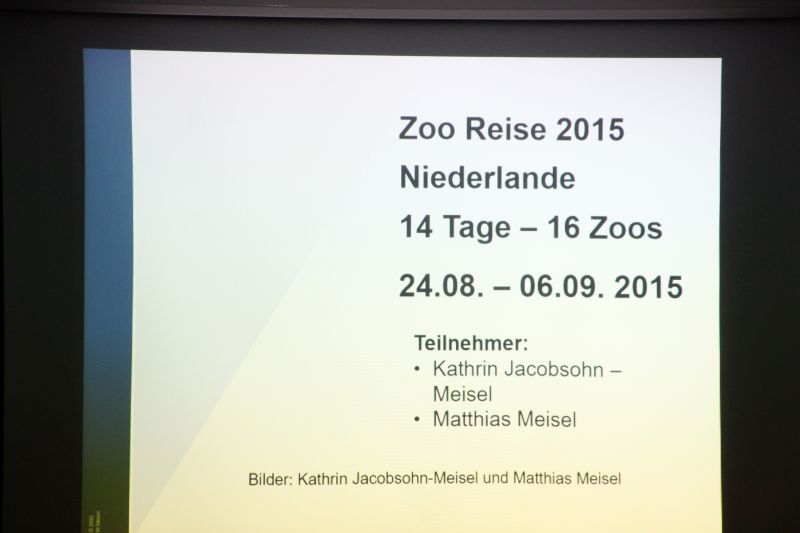 Zooreise zu niederländischen Zoos