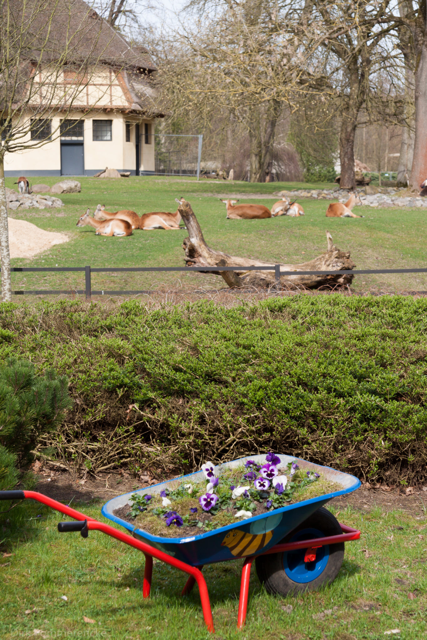 Frühlingsbeginn im Zoo