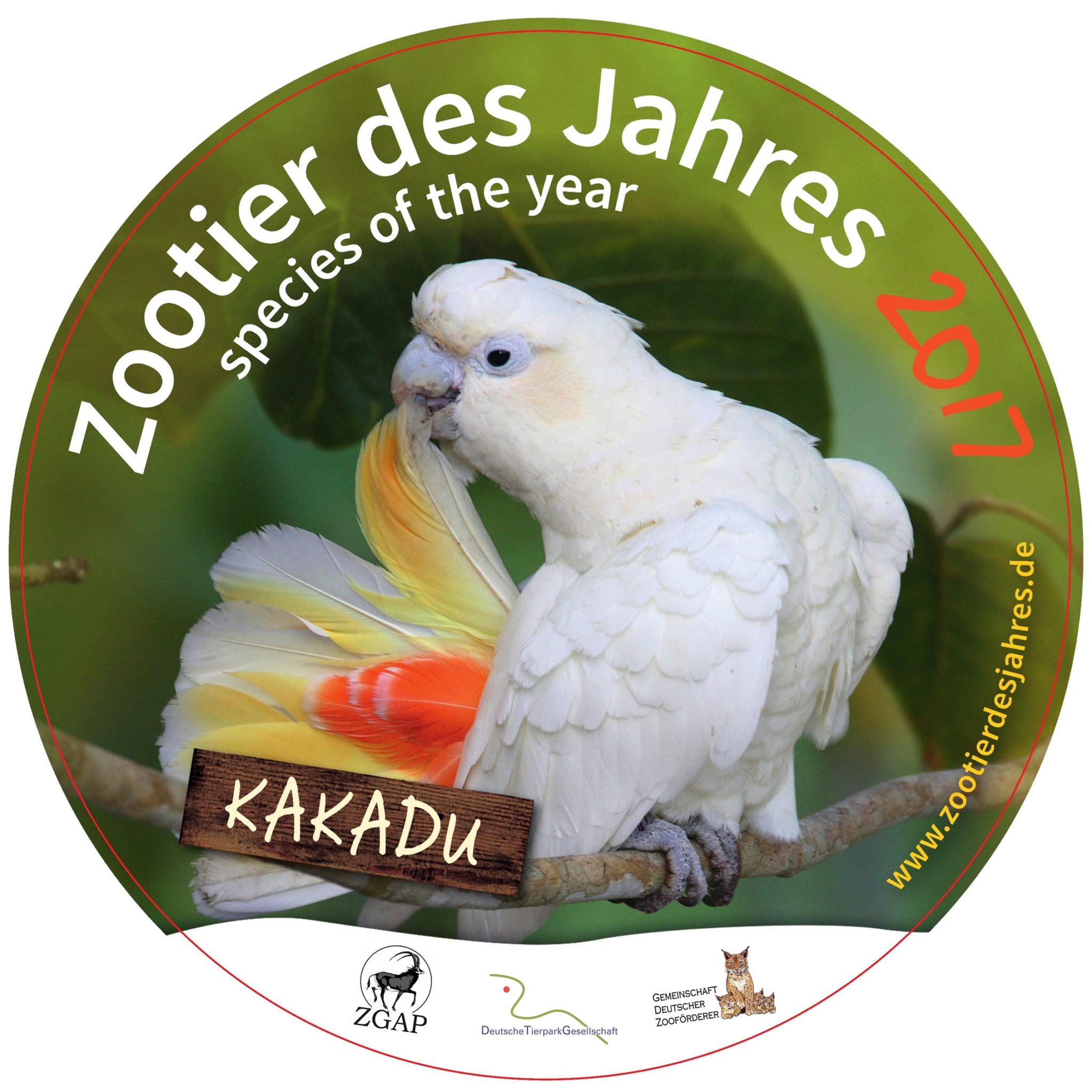 Kakadu - Zootier des Jahres 2017