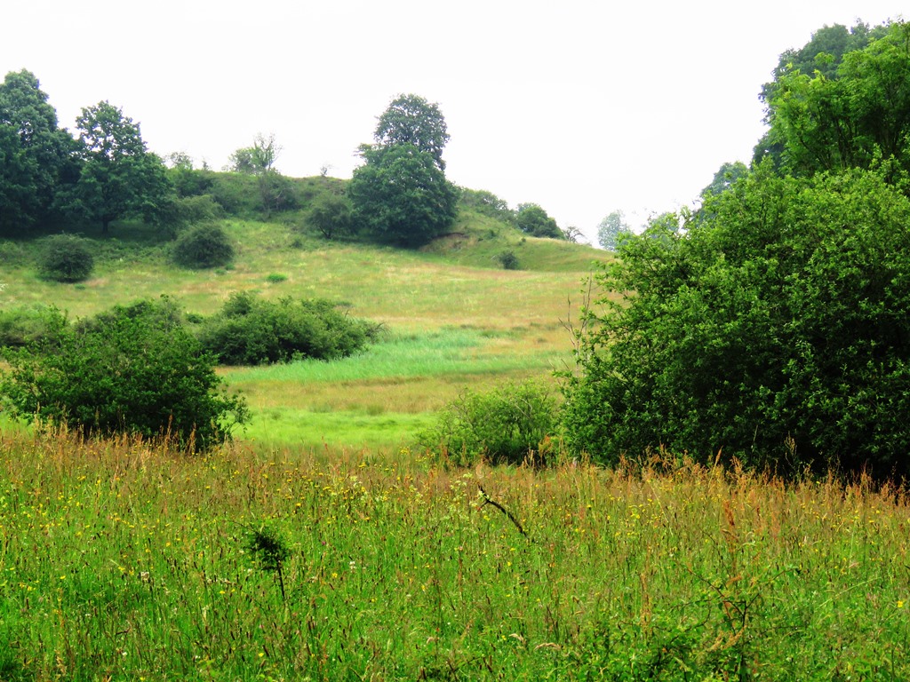 Führung in der Kösterbeck