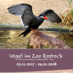 Plakat zur Ausstellung "Vögel im Zoo"